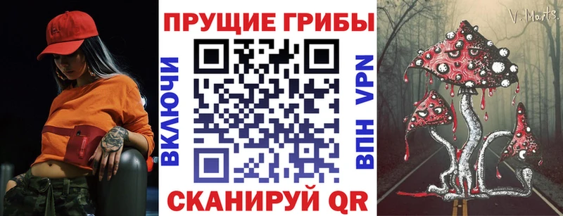 Псилоцибиновые грибы Psilocybe  Купить закладки  Бирюч 